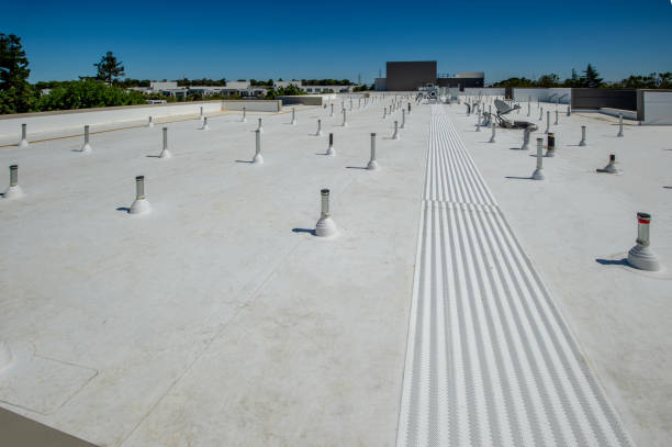 Best Roof Leak Repair  in Riverview Rk, PA